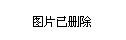党建的亮点性做法,以及企业文化建设和企业发展情况;在车辆双林党支部